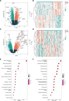 Exploration of the shared pathways and common biomarker PAN3 in ankylosing spondylitis and ulcerative colitis using integrated bioinformatics analysis